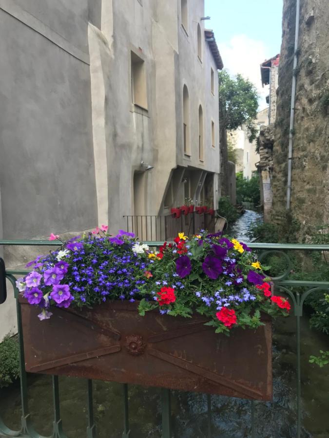 Petit Reve Διαμέρισμα LʼIsle-sur-la-Sorgue Εξωτερικό φωτογραφία