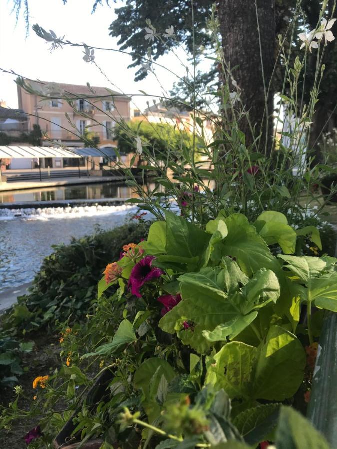 Petit Reve Διαμέρισμα LʼIsle-sur-la-Sorgue Εξωτερικό φωτογραφία